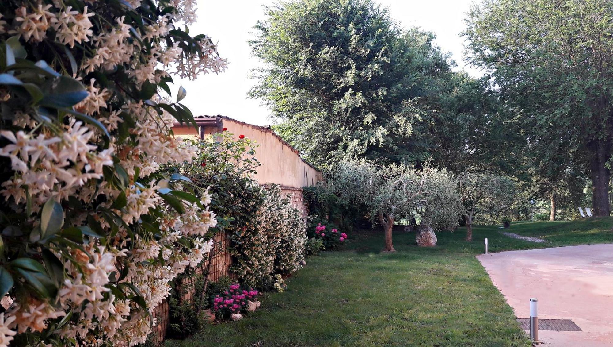 Penzion Al Torcol Agriturismo Monzambano Exteriér fotografie